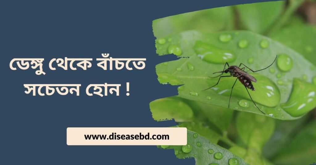 ডেঙ্গু রোগের লক্ষণ,বাঁচতে সচেতন হোন